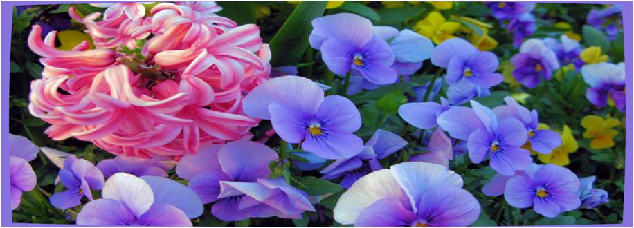 feria de flores